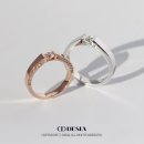 부산웨딩밴드 &#39;데시아&#39; 디자인후기💍