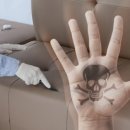 남구-056 이미지