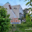 태양을향하여 이미지