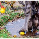 이지골프 이미지