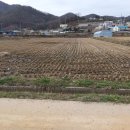 화도면사무소 이미지