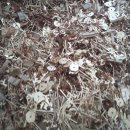 국제금속 이미지