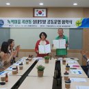 안룡초 이미지