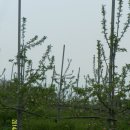 엔비(Envy) 이미지