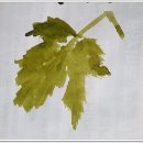 한국화(입문) 이미지