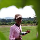 사파이어 골프 이미지