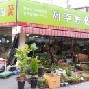 칠성농원 이미지