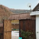 가평 감성 가비 스테이 | [가평풀빌라펜션/가평단체펜션] 감성가비스테이 | 동남아 감성 가득! 수영장, 캠프파이어, 바베큐...