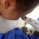 어매밥줘 이미지