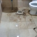 서부보건소 화장실 이미지