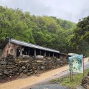 개구리목장 | 캠핑·동물·육십마지기 트레킹까지 한 번에! 아이랑 다녀온 산너미목장