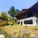 아침봄빵집 이미지