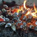 시간여행자 이미지