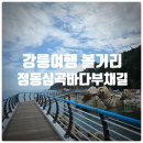 바다부채길1 | 강릉여행 볼거리 추천 『 정동심곡바다부채길 』 다녀온 후기 (내돈내산)
