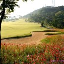 해피니스컨트리클럽(주) 이미지