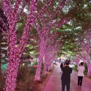 별빛이흐른다 이미지