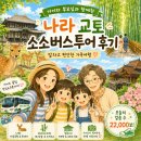 [내돈내산] 직접 다녀온 오사카 버스투어 : 나라 아라시야마 교토 소소버스투어 후기와 꿀팁