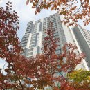 광교경남 공인중개사사무소 이미지