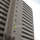 강남-185 이미지