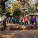 소나무동산 이미지