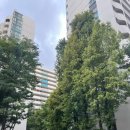 노원-상계-2213 이미지