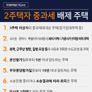 절세 가이드! 2주택자의 중과세 제외되는 주택 이미지