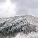 쇼생크 탈출 - 12월 21일 수요일 - 강설예보로 태기산 워킹갑니다 이미지