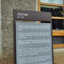 미즈벨트 이미지