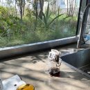 앳제주 | 제주 서쪽 금능 감성 충만 숙소 앳모스피어스 깊이내린 내돈내산 강추 후기