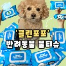 포포동물병원 | [클린포포] 강아지 고양이 반려동믈용품 반려동물물티슈 반려동물청결, 클린포포 후기