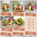 늘솜과일