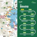 184차 5월 태마여행 대청호오백리길 이미지