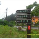 기성망양 이미지