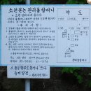 소원비는 "영천돌할매" 이미지