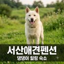 웨스트메도우 | 알고 보니 마당만 100평? 서산애견펜션 중 댕댕이가 제일 좋아하는 곳..
