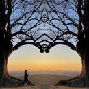 부여(임천)-15 이미지