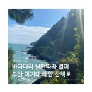 미가생태탕 | 이기대 해안산책로 : 부산 최애 산책코스로 지정!