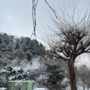 밤골농장 이미지