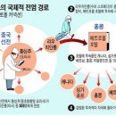 신종인플루엔자 A(H1N1) 사례연구 그룹보고서(22세기건강조) 이미지