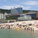 남일대해수욕장 이미지