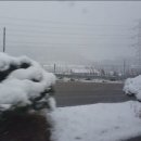 금천독일맑은보청기 이미지