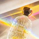 폴리크롬 이미지