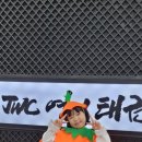 JWC영어태권도장 네이버블로그