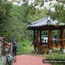 마골산화장실 이미지