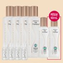 테라피 클래식 이미지