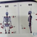 양지피지오필라테스 | 주안 필라테스에서 페인프리필라테스 인천체형교정 후기