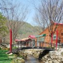 느티나무골펜션 이미지