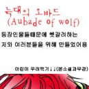 오바드(AUBADE) Daum카페
