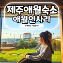 제주궁전 | 제주 애월 숙소 자쿠지 독채 펜션 분위기 있는 애월인사리 솔직후기