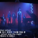 Bobby Vinton - Blue Velvet 이미지